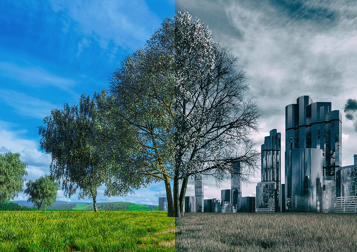 Czyste powietrze 2024